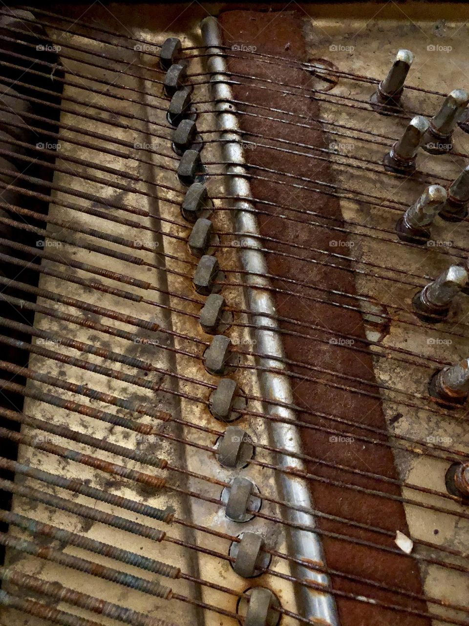 Closeup of interior workings of grand piano. Piano strings are rusting and dirty.