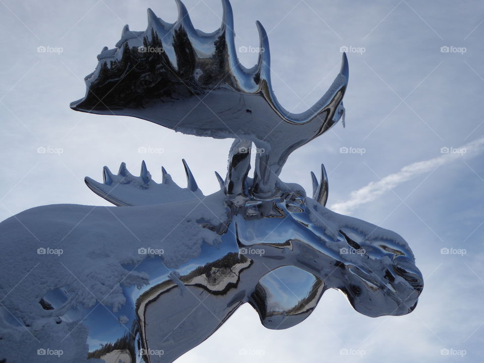 Statue of moose in steel