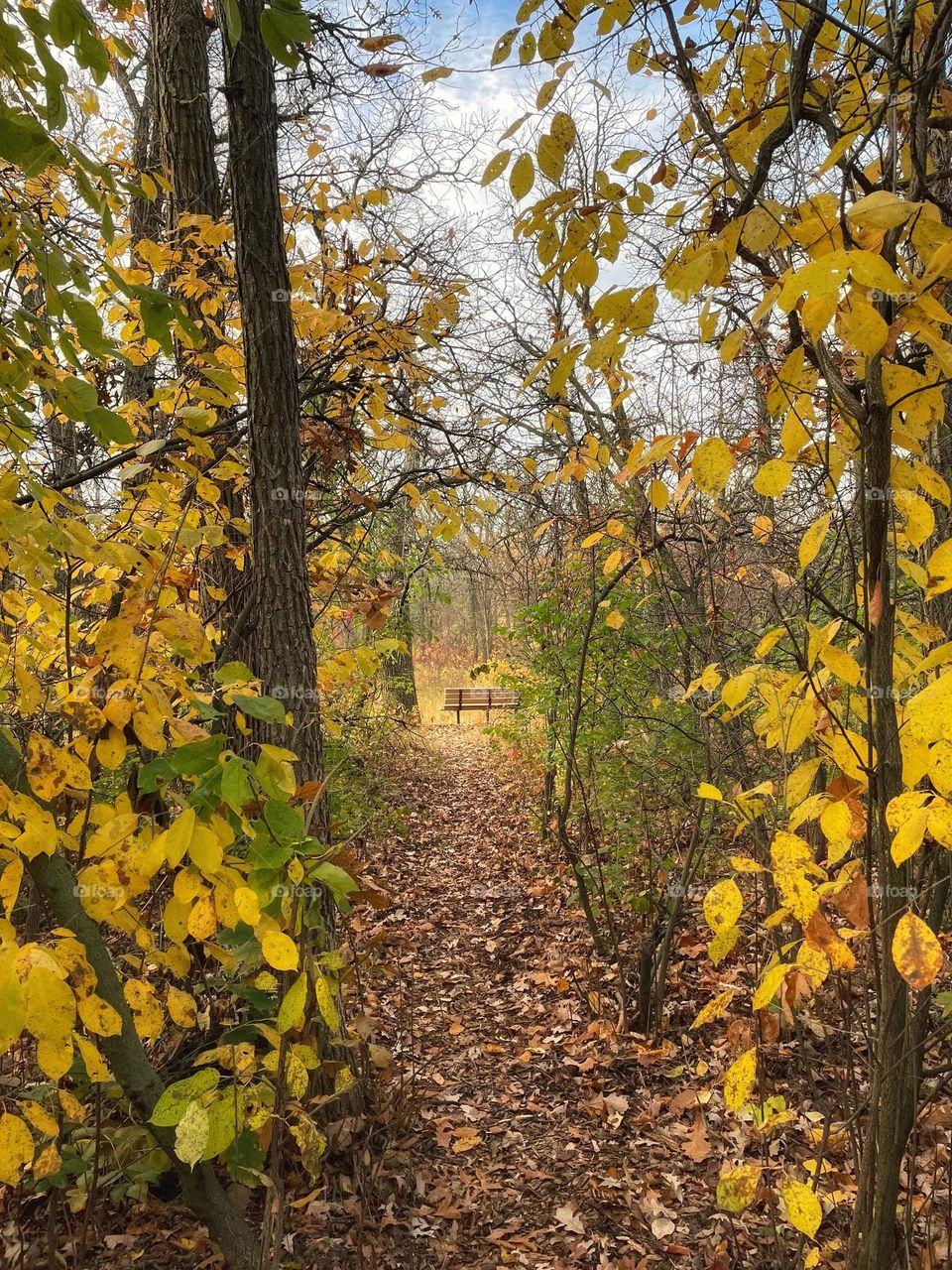 A walk in the park 