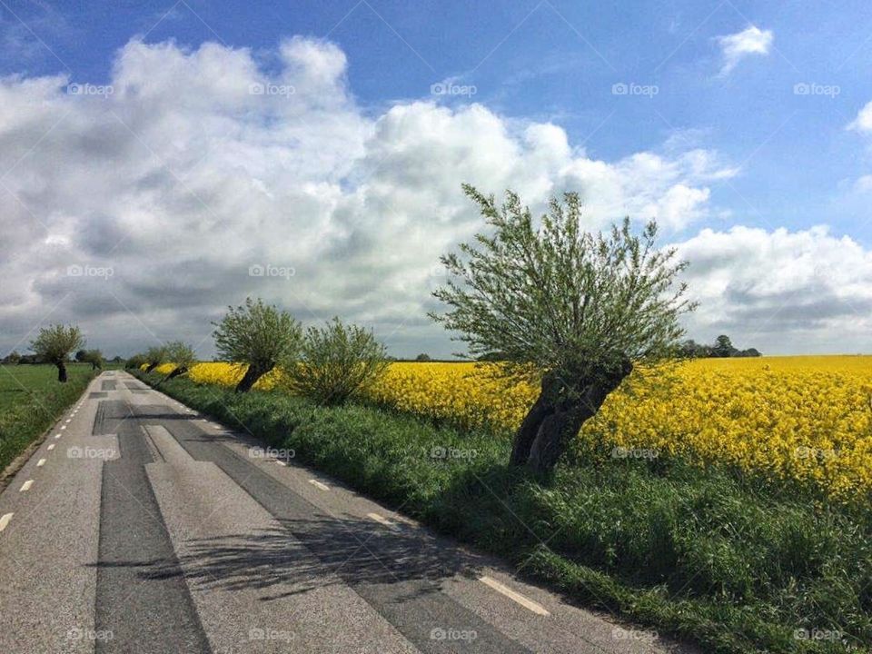 Skåne along the road