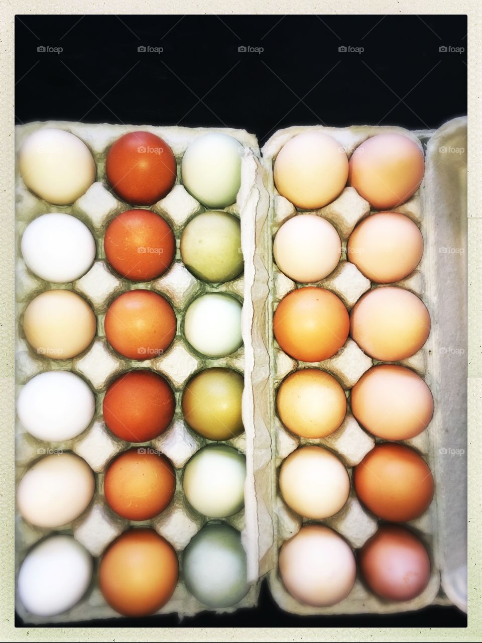 Colorful fresh eggs from the farm 