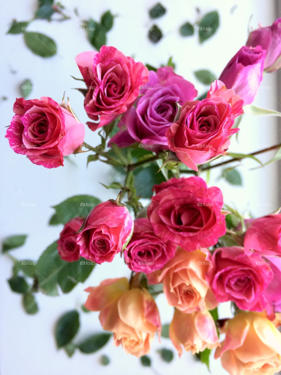 Bunch of blooming flowers