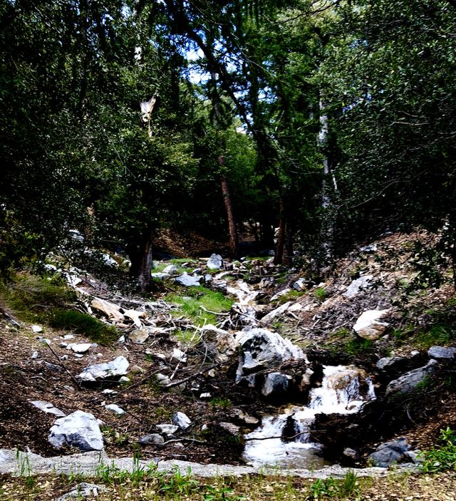 Mountain Creek