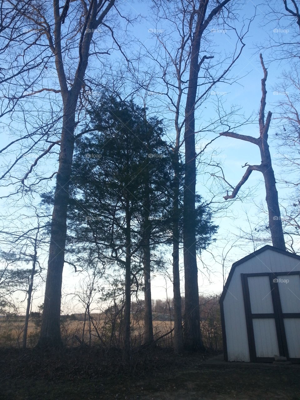 outside view. outside view shed with a sunset