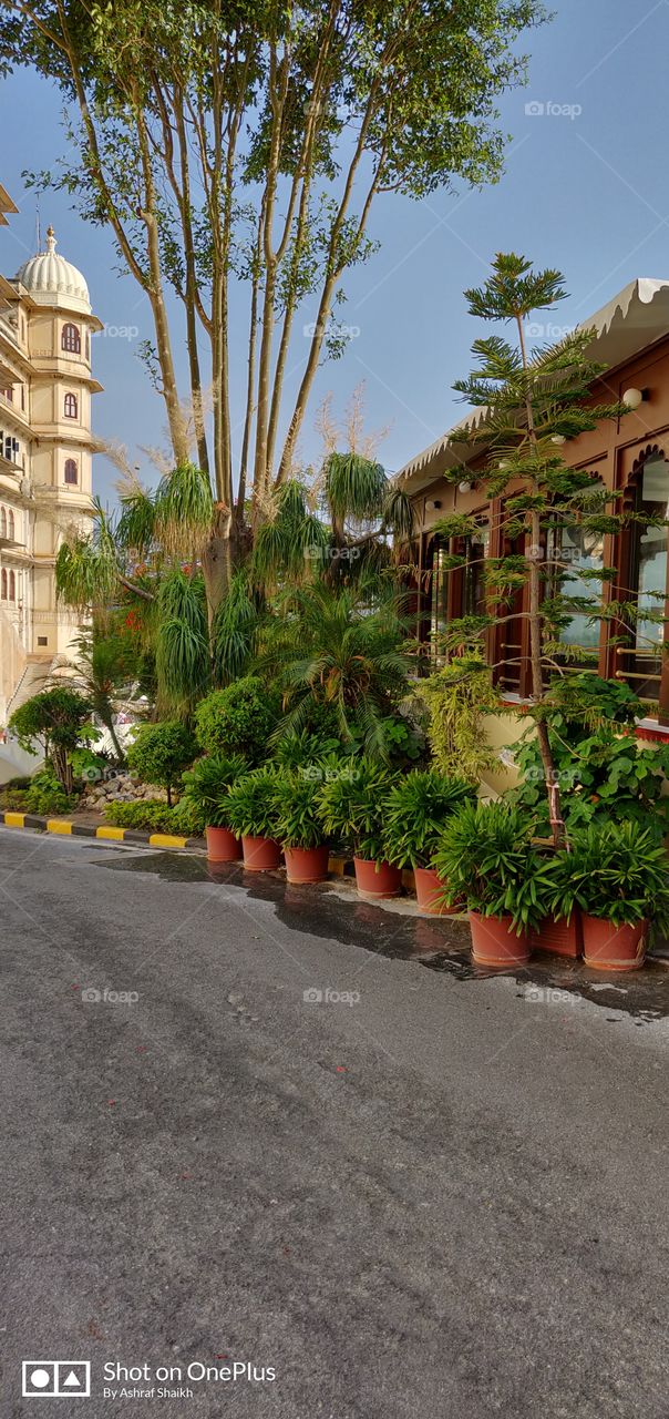 Backside view of Udaipur City Palace Rajasthan