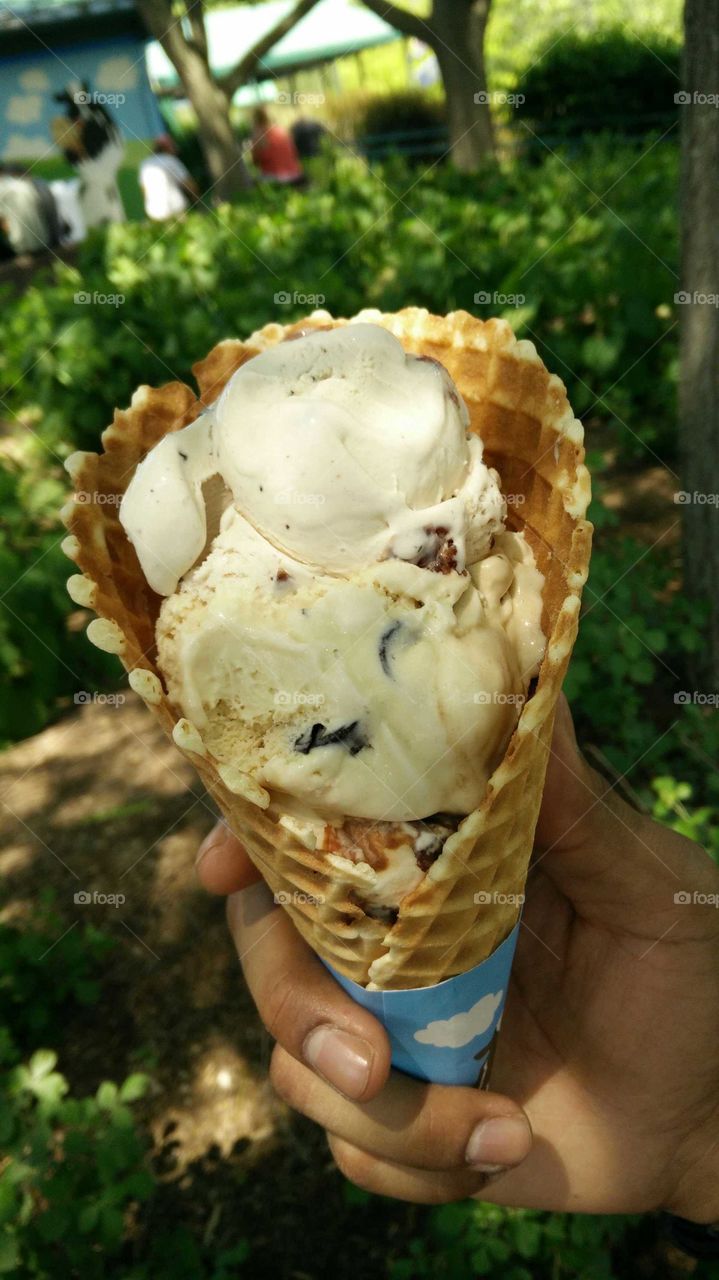 nice ice-cream