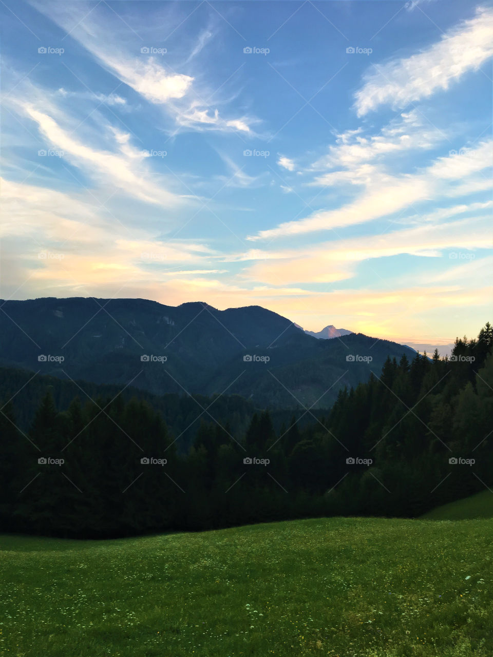 A mountain meadow 