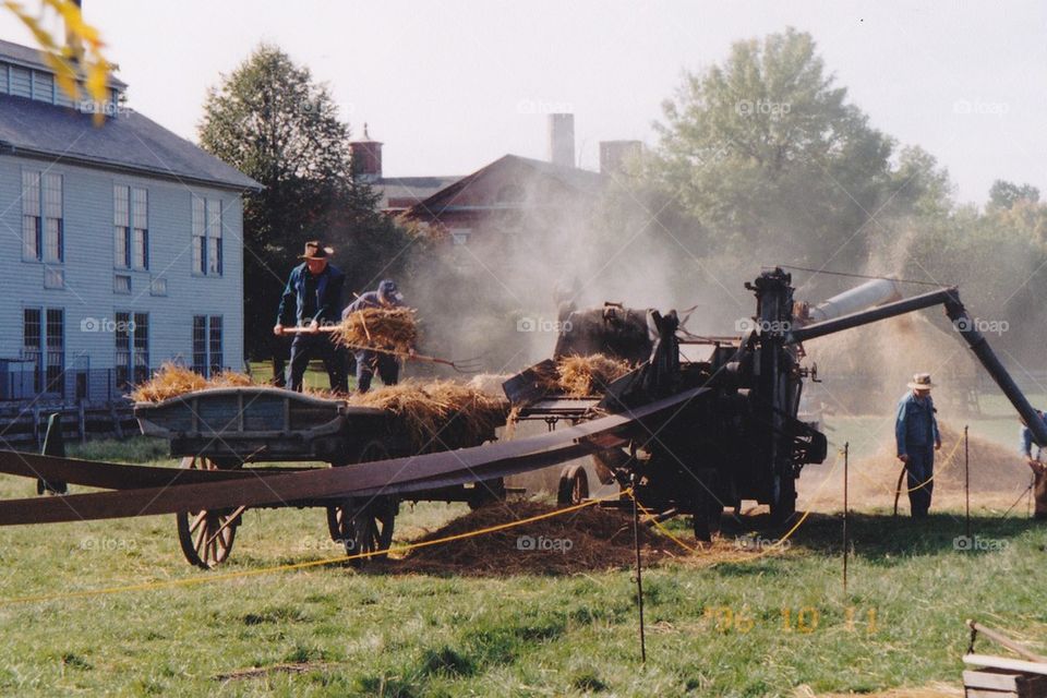 Bailing hay the old-fashioned way