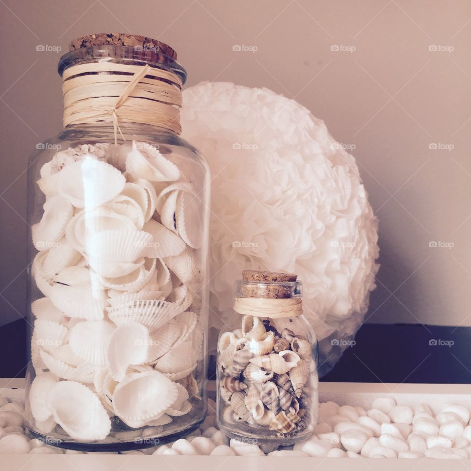 shells in a bottle 