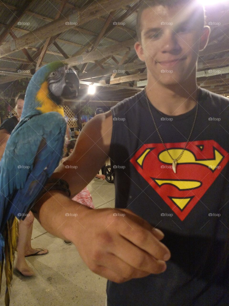Blue And Gold Macaw