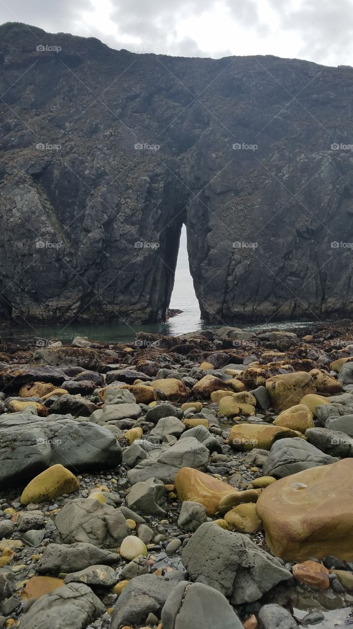 Northern Pacific Ocean