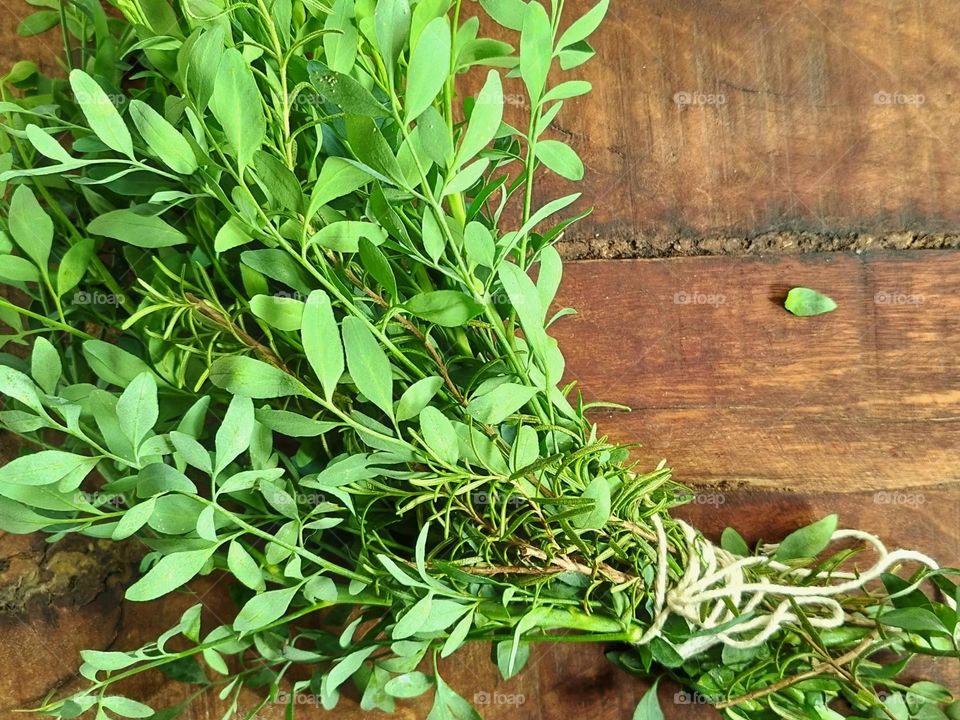 Rue and rosemary bouquet, herbs indicated for holistic baths, as they provide a feeling of relaxation. Both plants are widely used by different religions and beliefs for purification.