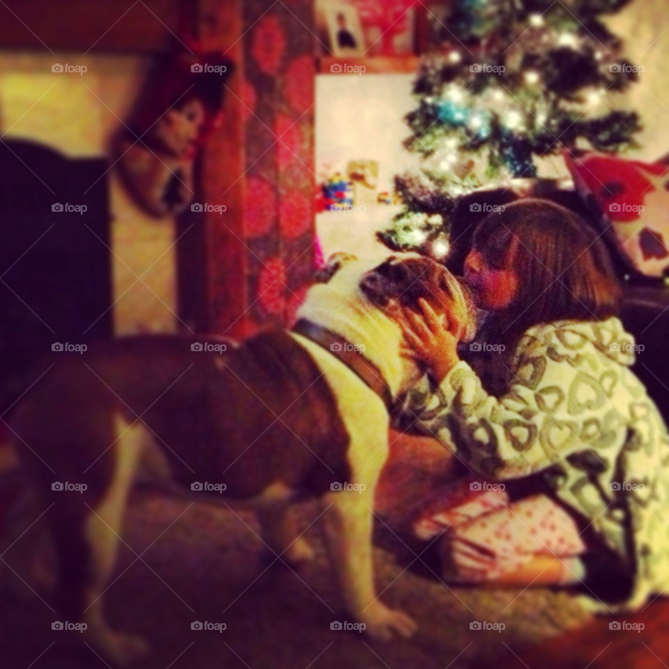 dog christmas cute dog bulldog by Britishbulldog_