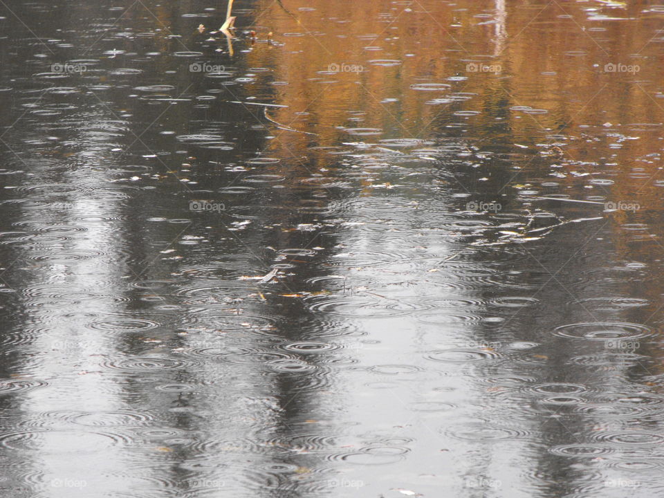Rain on the Lake.