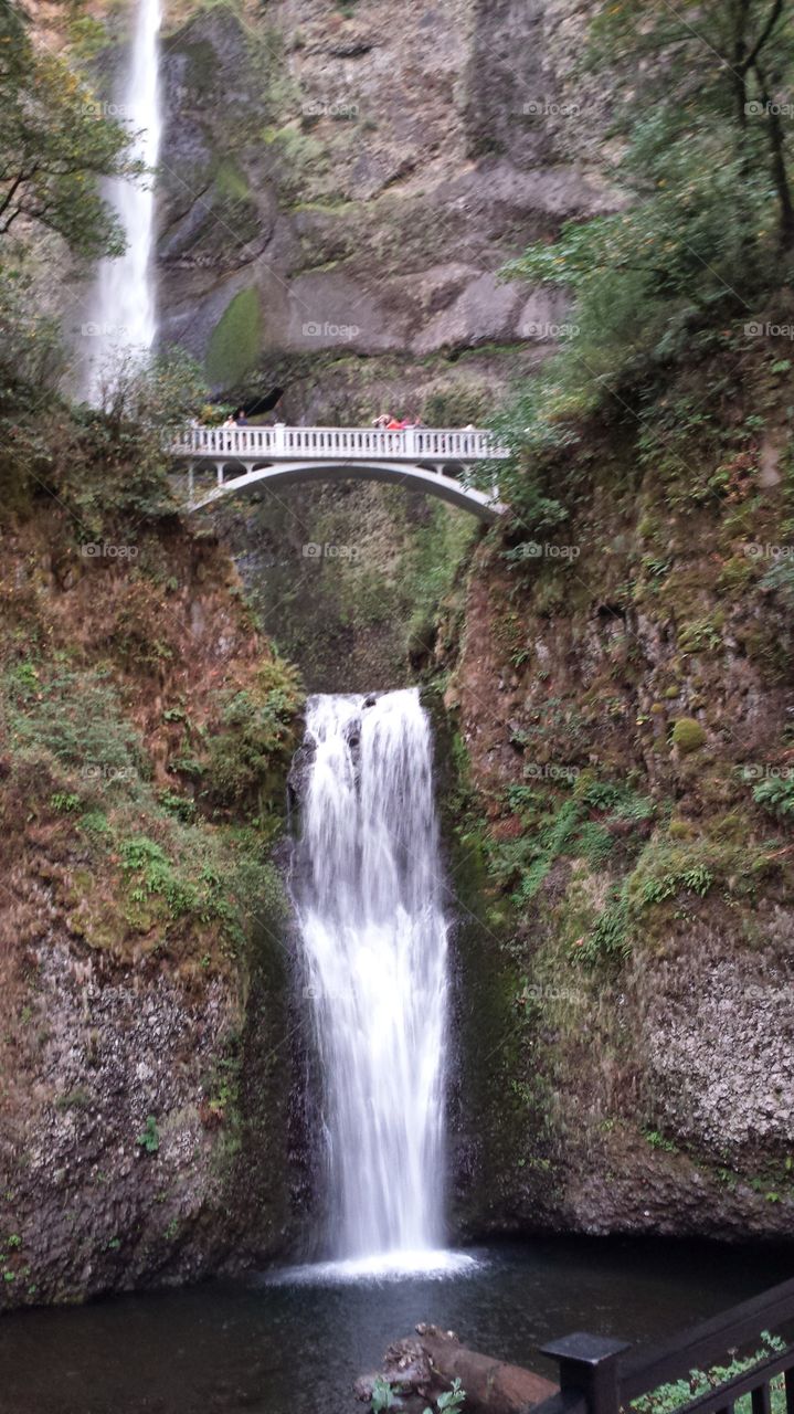 waterfall. Oregon