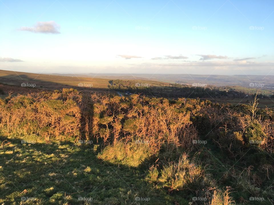 Loving the presence of the wild horse on Dartmoor, UK 