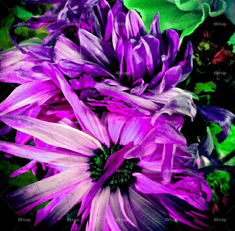 passionating. flashlight effects