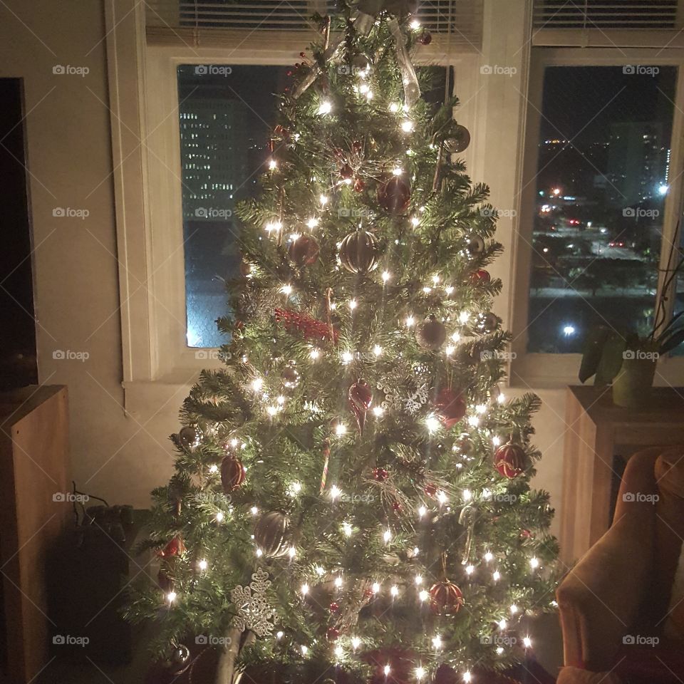 high Rise Apartment Christmas tree