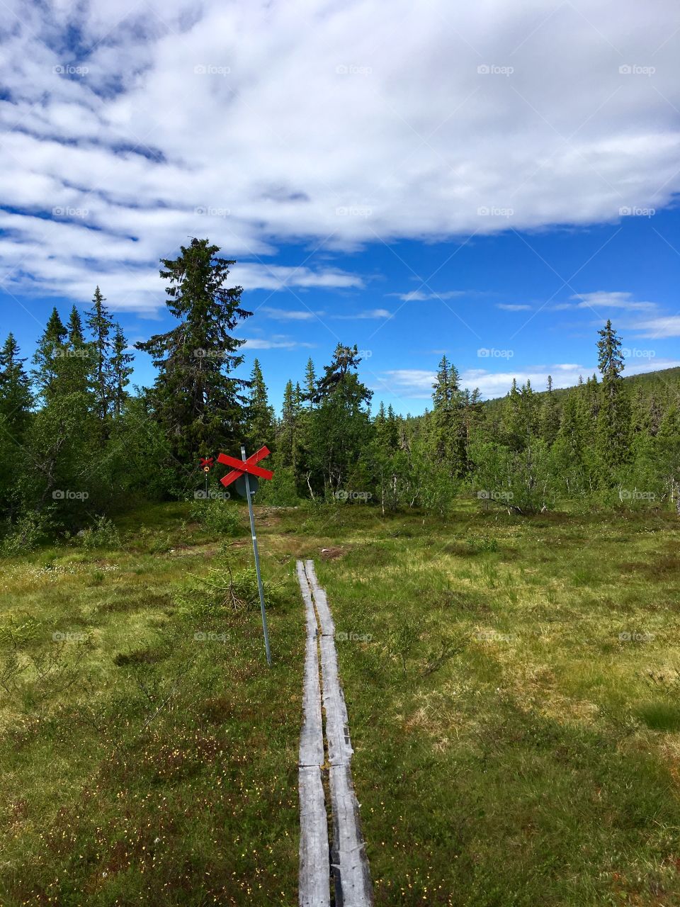 Hiking trail, Sweden, Sälen.