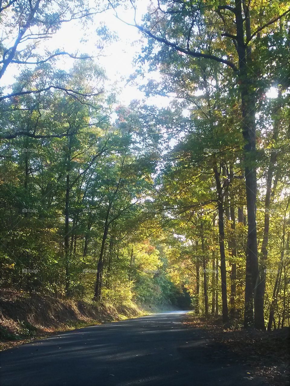 fall country