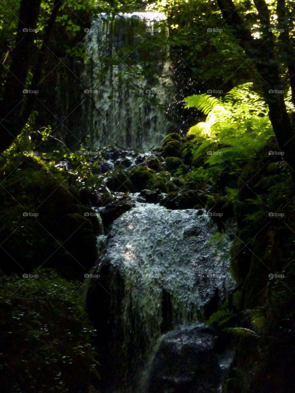 Water, Waterfall, Wood, Moss, No Person