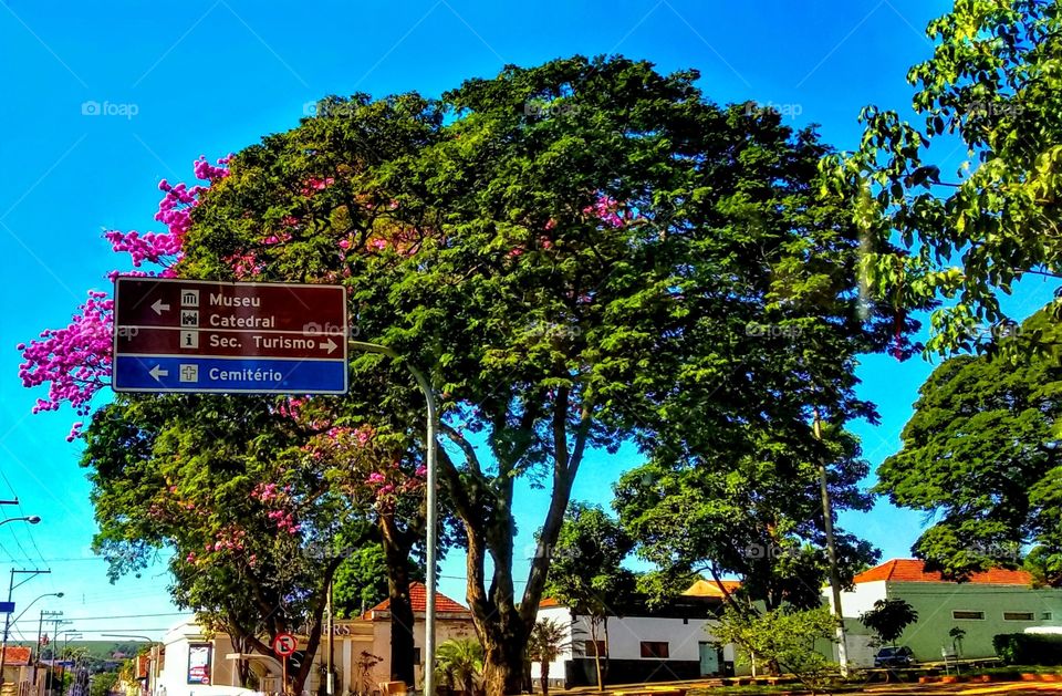 Places to visit in Barretos - Museum, Cathedral, Secretariat of Tourism and Cemetery