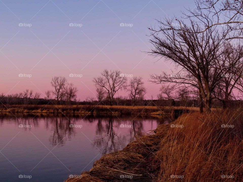 Beautiful colorful sunset with reflected trees over water front. "All Natural Baby".