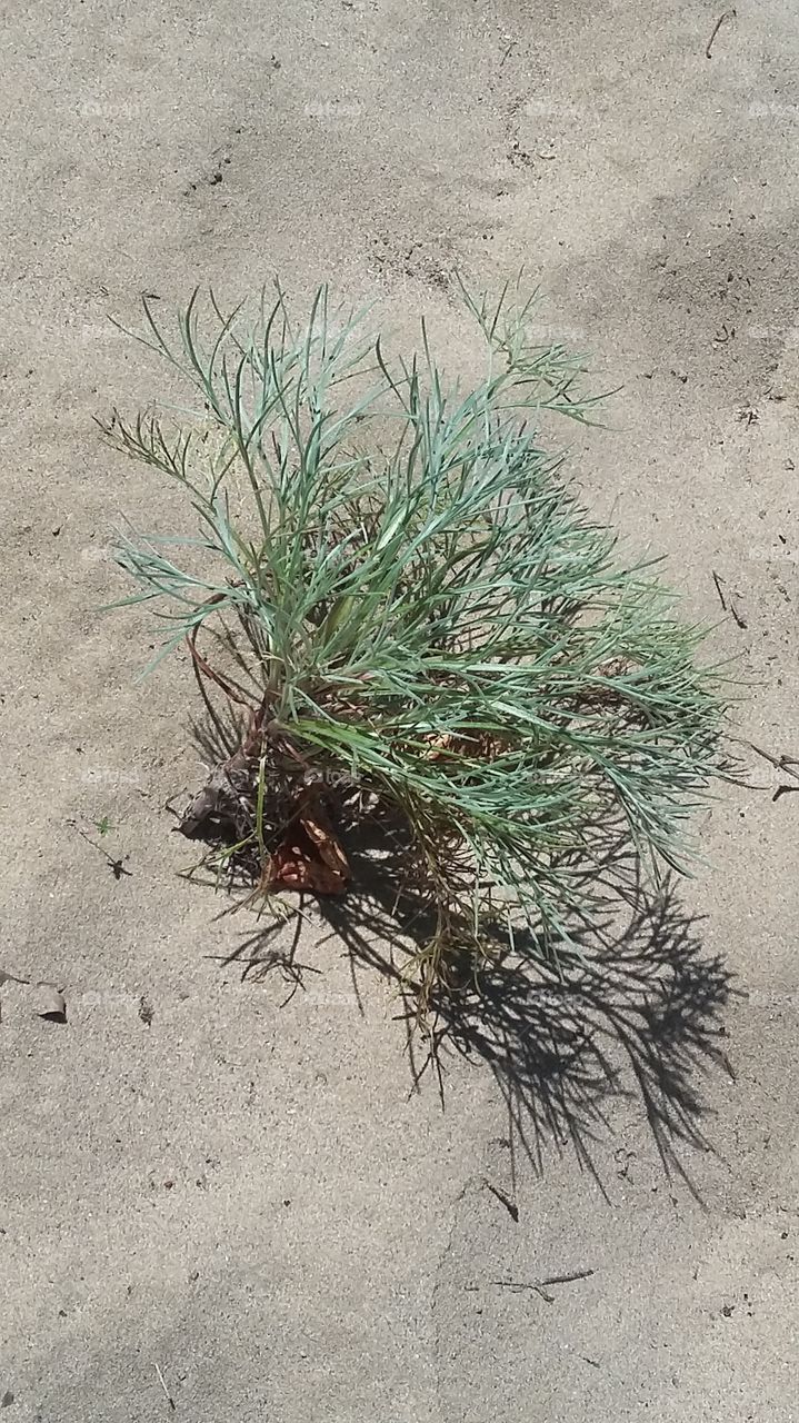 Sand, Nature, No Person, Dry, Environment