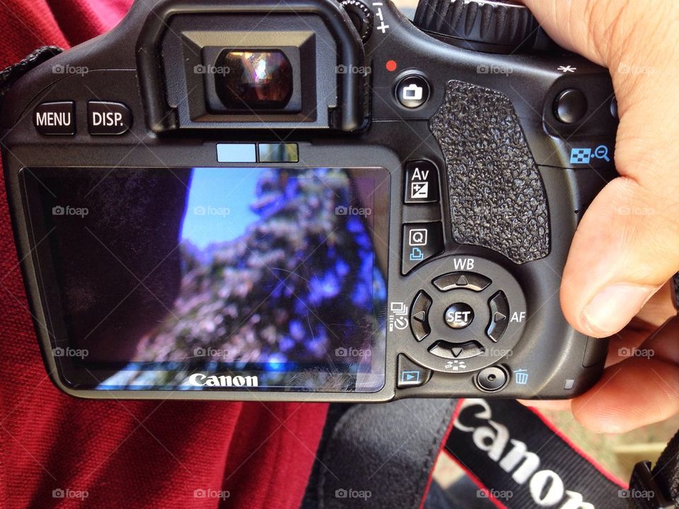 My canon