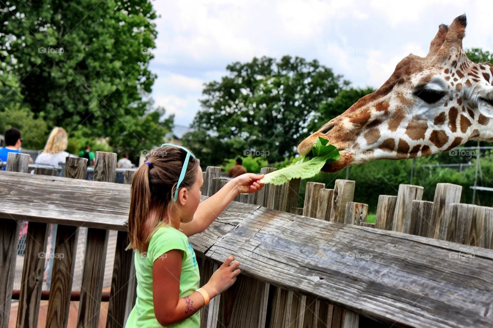 Girl & Giraffe