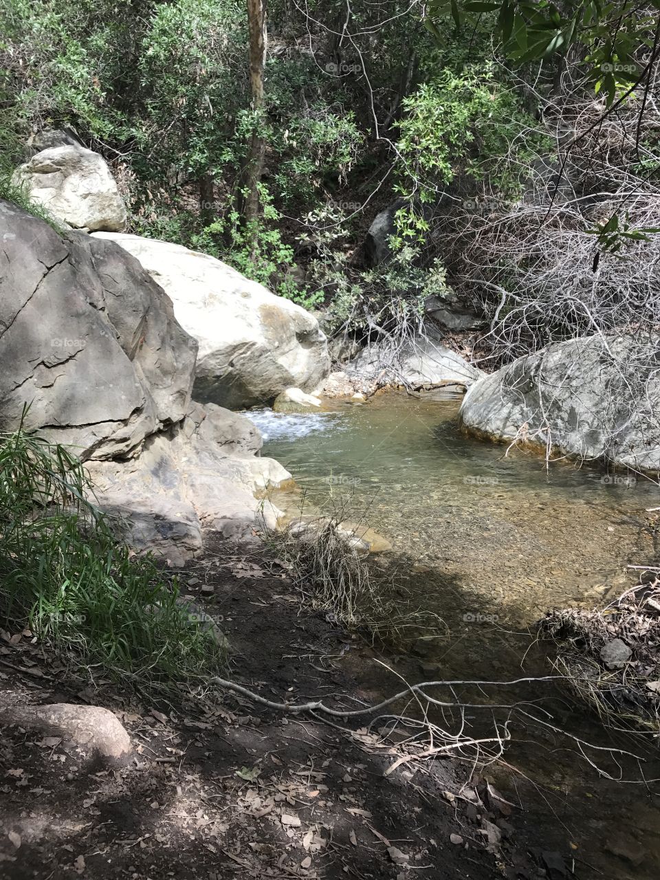 Hiking through the trails and reveling in the waterfalls & pools of Cold Springs Trail, Santa Barbara