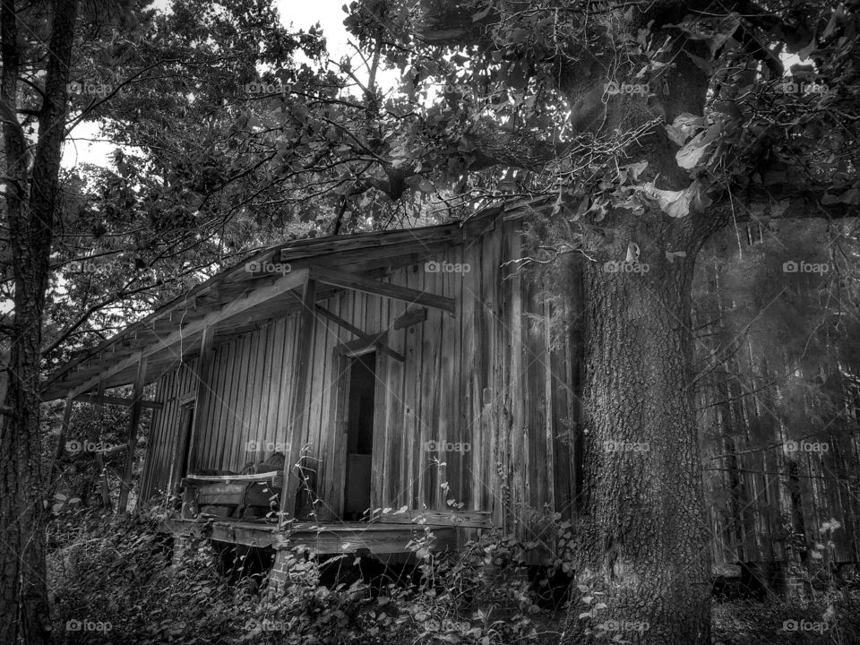 Yesterday’s Beauty #2