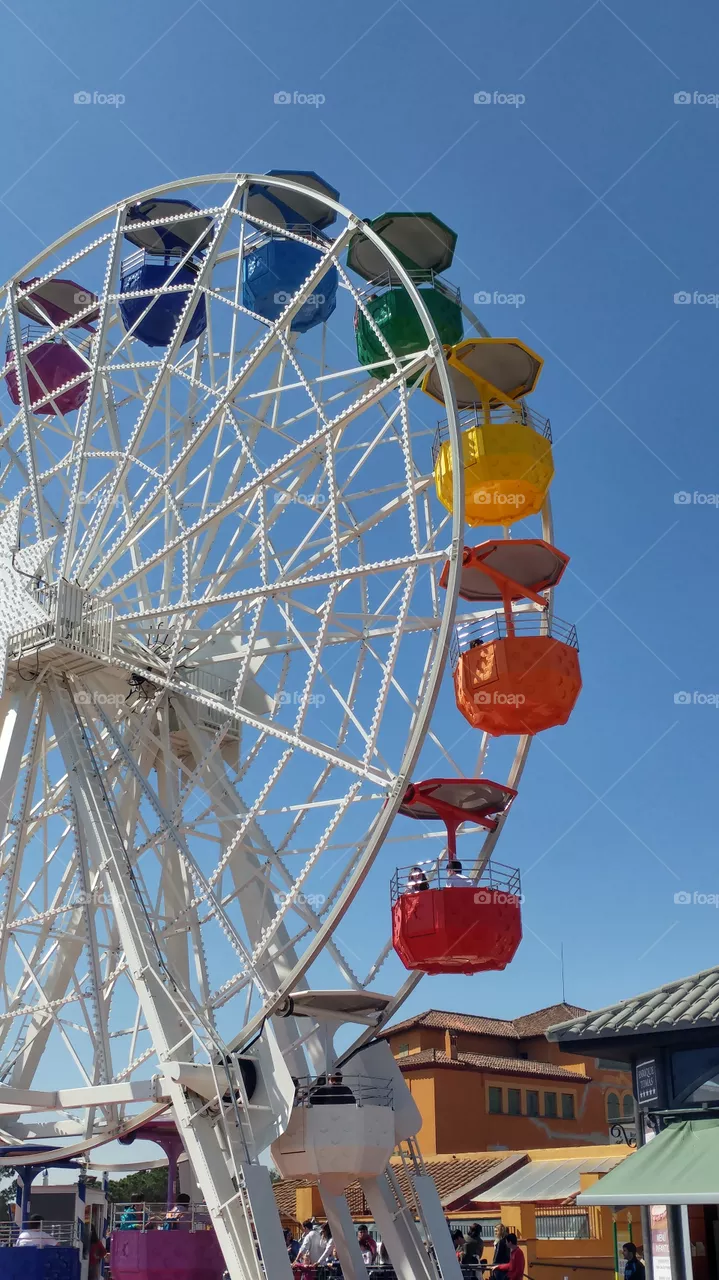 wheel