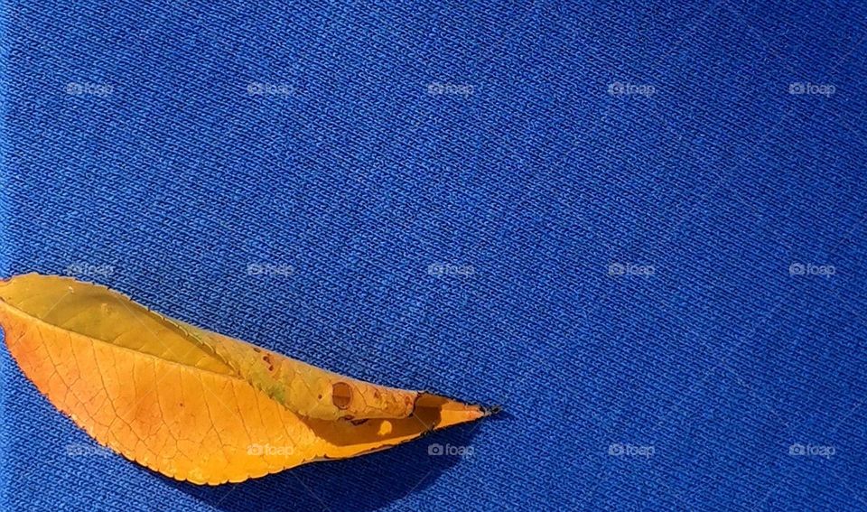 Complementary colors