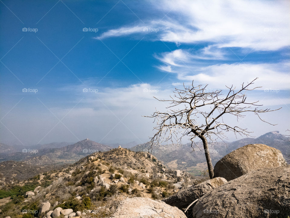 Taranga hill station