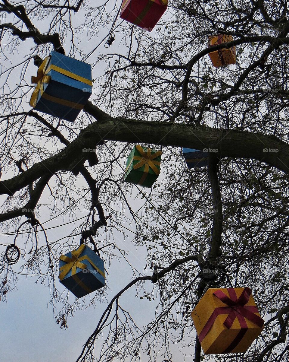 Christmas decoration in a tree