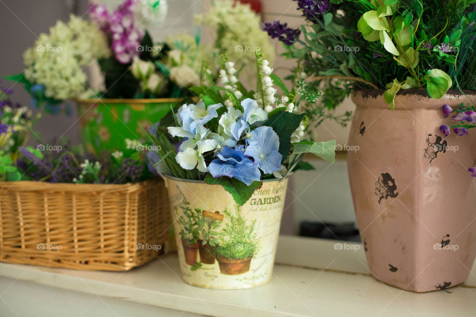 Close-up of flowers in flower pot