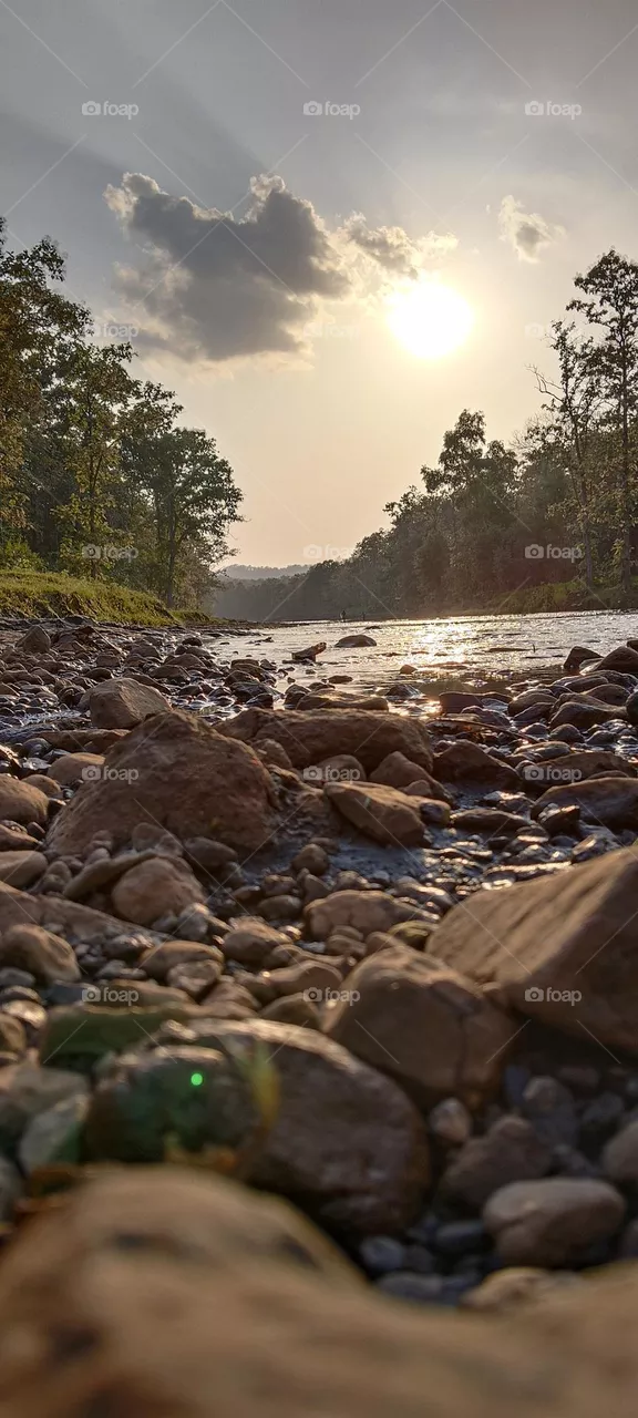 river nature