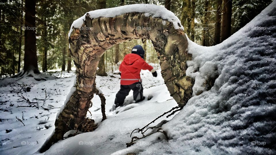 Winter Wood Walk two