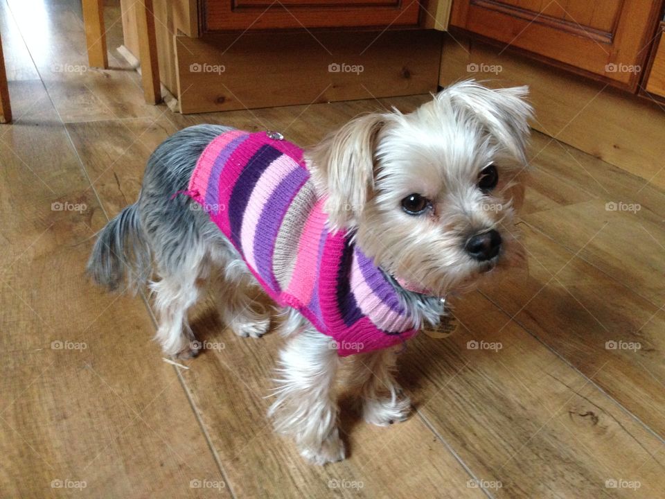 Looking so cute in her jumper