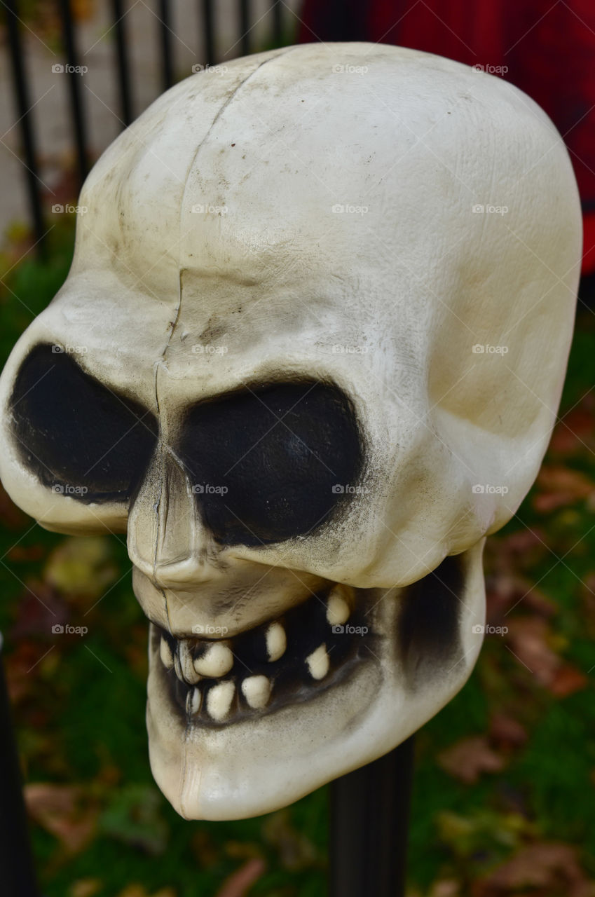 Skull decoration for Halloween