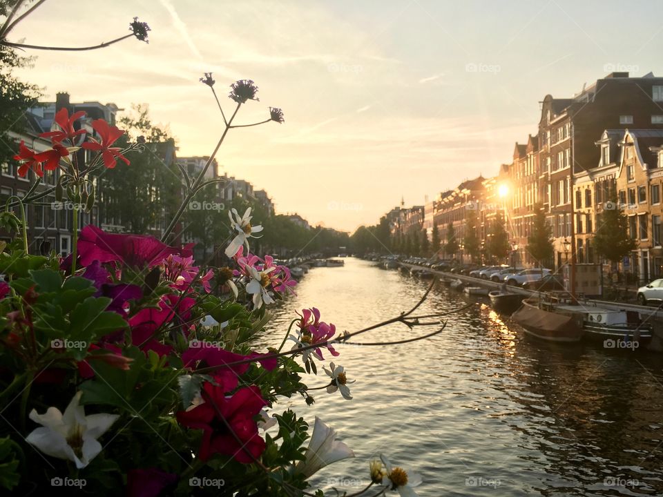 sunset on the main canal of amsterdam, buildings of amsterdam with flowers, beautiful destinations of holland, netherlands