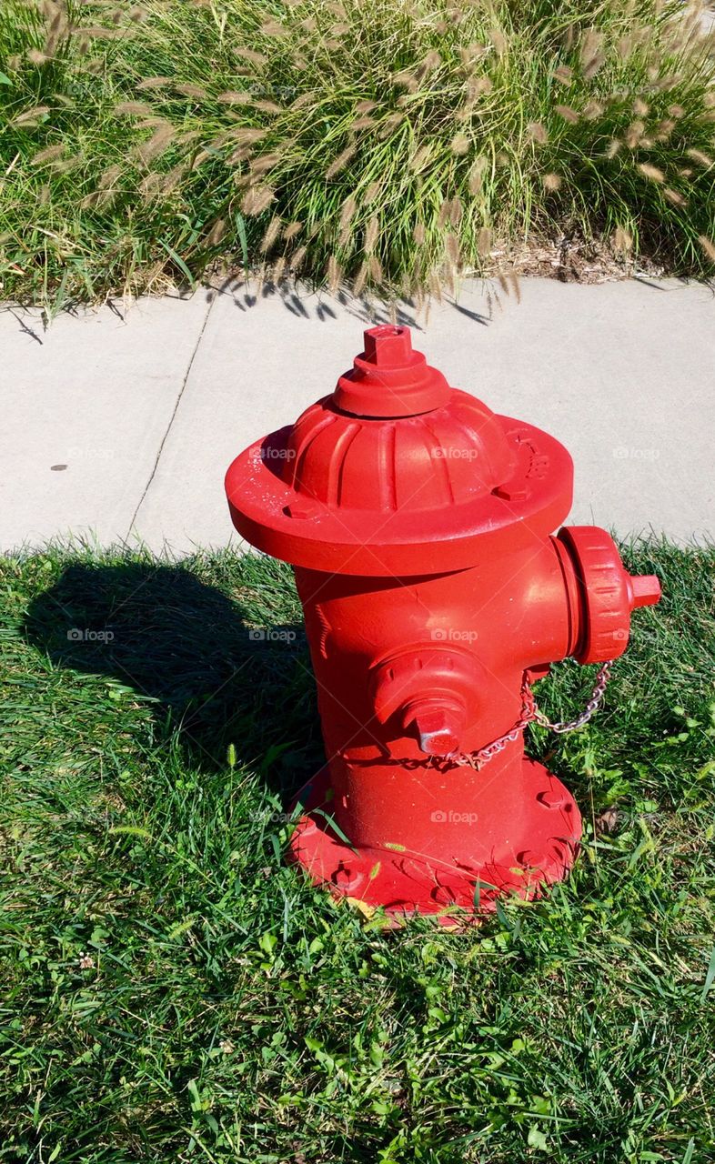 Red Fire Hydrant