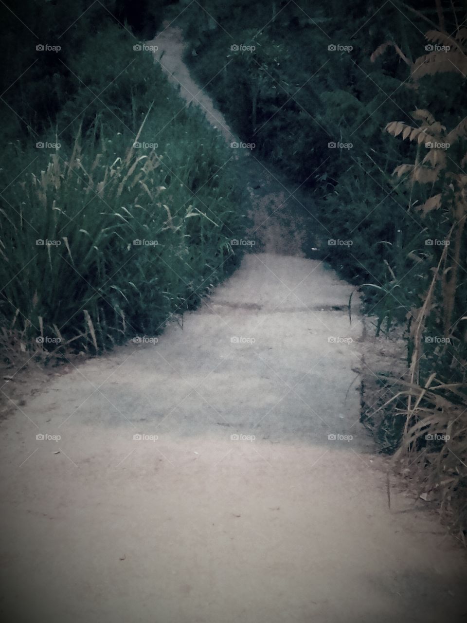 Kandy Mahakande Road..