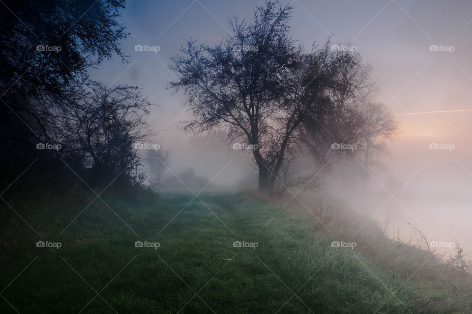 Most kolejowy na rzece Odra, Poland, Stany