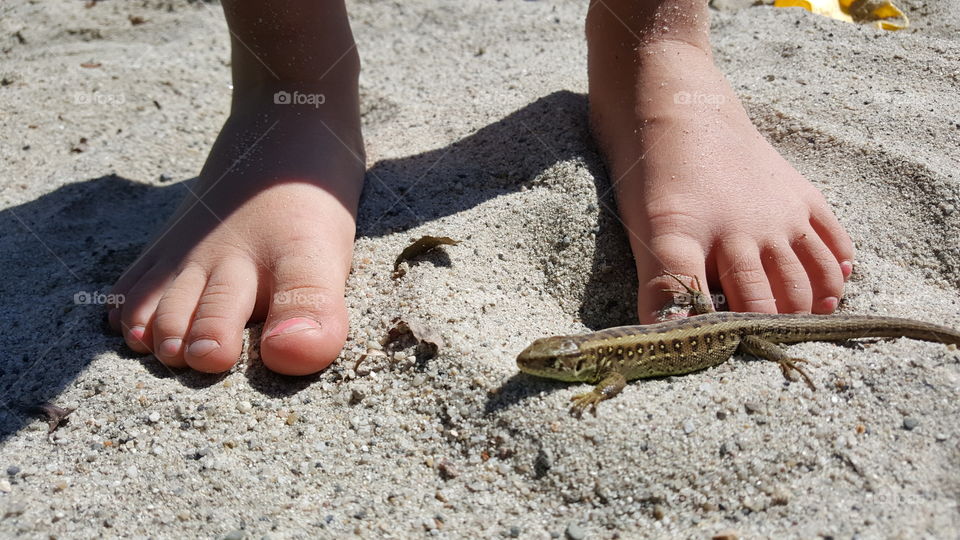 Baby's feet and small lizard
