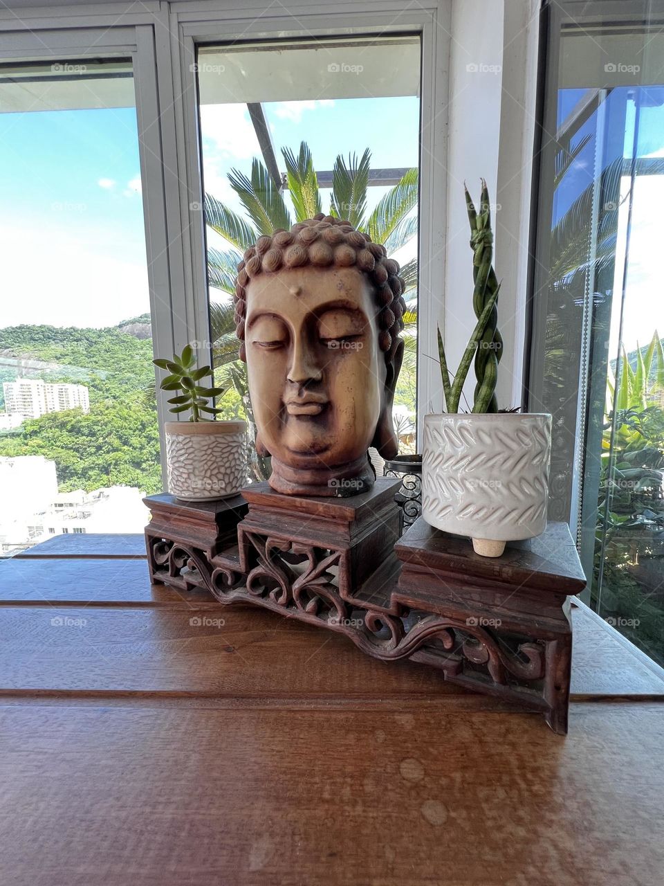 Buddha in tropic’s window