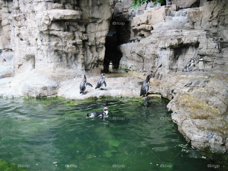 Water, Rock, Travel, No Person, Nature