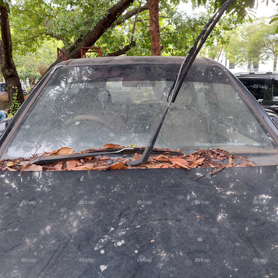 car that is not washed and not cared for properly