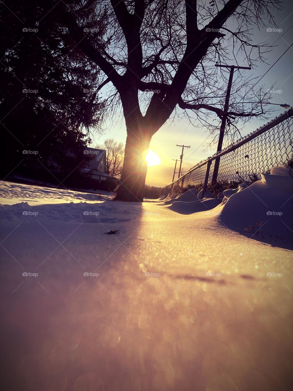 Tree shadow with backlit 